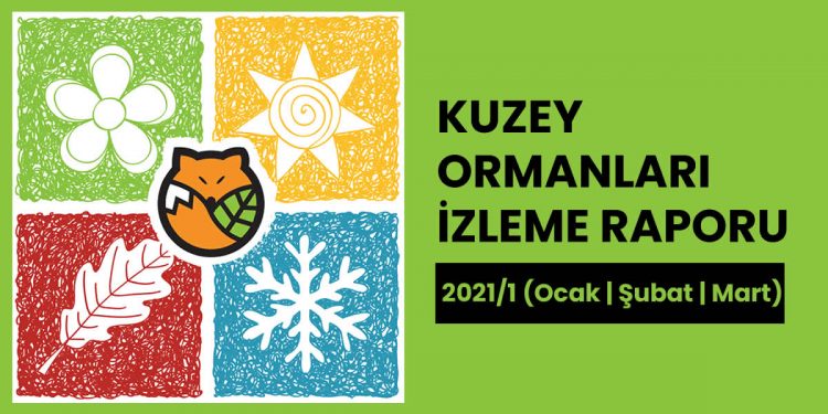 Kuzey Ormanları İzleme Raporu – 2021/1
