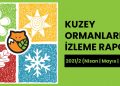 Kuzey Ormanları İzleme Raporu – 2021/2