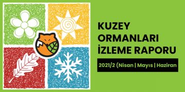 Kuzey Ormanları İzleme Raporu – 2021/2