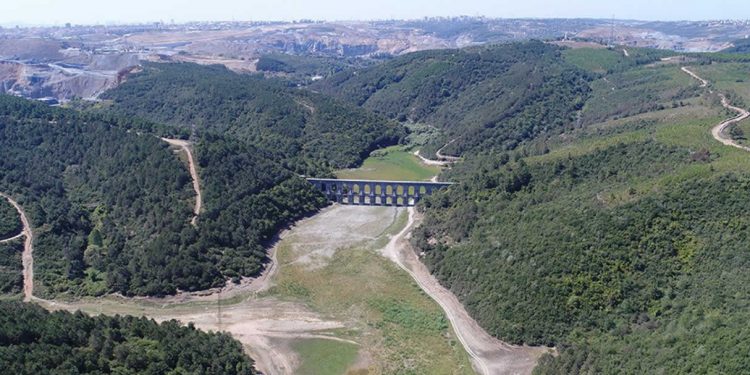 Kuzey Ormanları İzleme Raporu: 11 ilin 10’unda tahrip veya tehdit var; Kanal İstanbul en büyük tehdit