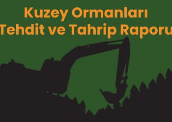 Kuzey Ormanları Tehdit ve Tahrip Raporu