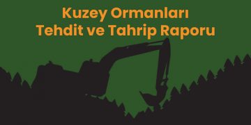 Kuzey Ormanları Tehdit ve Tahrip Raporu