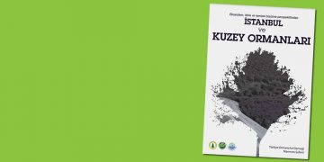 İstanbul ve Kuzey Ormanları