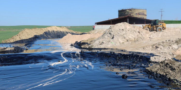 Edirne’de çevre katliamı: Tonlarca zift çevreye yayılıyor