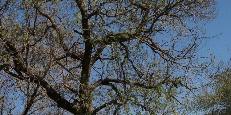 İstanbul - Balaban - Arnavutköy