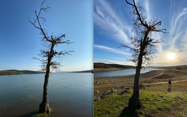 Kuzey Ormanları Alarm Veriyor