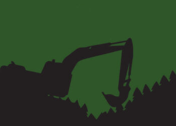 Kuzey Ormanları Araştırma Derneği’nden rapor: Rant, işgal, tehdit…