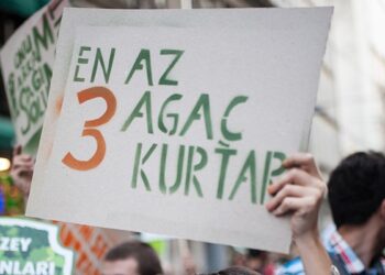 Kuzey Ormanları’nda göl, ağaç, balık ne varsa hepsi yok ediliyor