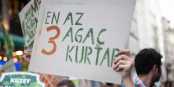 Kuzey Ormanları’nda göl, ağaç, balık ne varsa hepsi yok ediliyor
