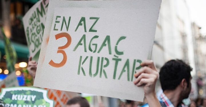 Kuzey Ormanları’nda göl, ağaç, balık ne varsa hepsi yok ediliyor