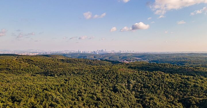 İBB’den ‘Koru İstanbul’ projesi: Vatandaşlar tahribatı bildirebilecek