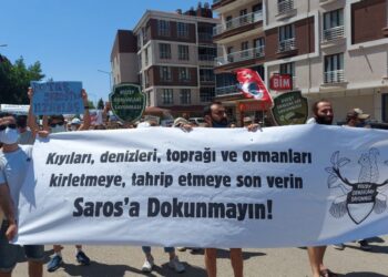 KUZEY ORMANLARI İZLEME RAPORU