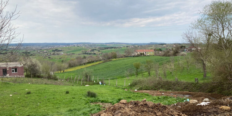 İstanbul’un son mandaları satılıyor: 40 günde 600 hayvan gitti