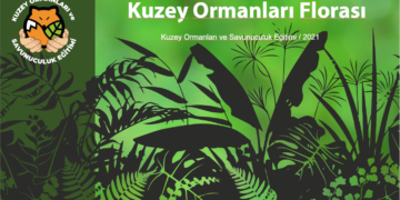 Kuzey Ormanları tehdit ve tahripleri, odak grup toplantıları (Etkiniz programı için hazırlandı)