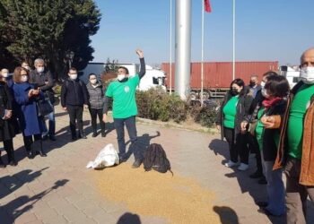 Kuzey Ormanları kırsalını savunanlar kazandı: Tarım ovasına Plastik OSB iptal edildi