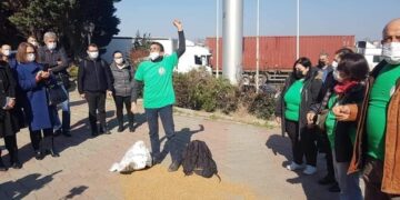 Kuzey Ormanları kırsalını savunanlar kazandı: Tarım ovasına Plastik OSB iptal edildi
