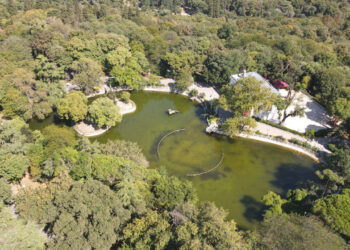 Yıldız Korusu’nu yapılaşmaya açan bakanlık kararı iptal edildi