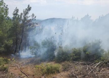 Kuzey Ormanları’nda yıldırım düşen mevkide çıkan yangın kontrol altına alındı
