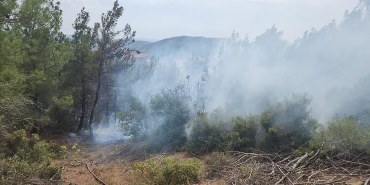 Kuzey Ormanları’nda yıldırım düşen mevkide çıkan yangın kontrol altına alındı