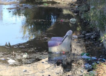 Kuzey Ormanları’nın Tunca Nehri çöp içinde