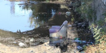 Kuzey Ormanları’nın Tunca Nehri çöp içinde