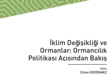 İklim Değişikliği ve Ormanlar: Ormancılık  Politikası Açısından Bakış