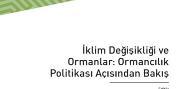 İklim Değişikliği ve Ormanlar: Ormancılık  Politikası Açısından Bakış