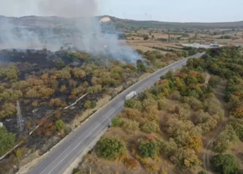 Edirne’de ormana atılan çöpler yangına sebep oldu