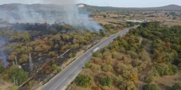 Edirne’de ormana atılan çöpler yangına sebep oldu