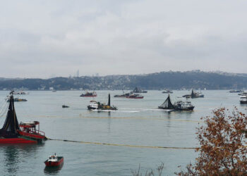 Marmara Denizi ekosisteminde endüstriyel balıkçılık yıkımı