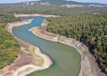 Yağışlar barajları doldurmaya yetmiyor: Orman yoksa su da yok!