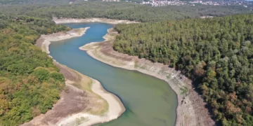 Yağışlar barajları doldurmaya yetmiyor: Orman yoksa su da yok!