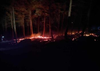 Kuzey Ormanları’nda çıkan yangın yurttaşlar ve ekipler tarafından söndürüldü