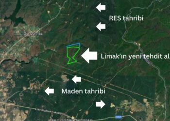 Şimdi de rüzgâr enerji santralları ve madenler tehdit ediyor: Kuzey Ormanları talanı Tekirdağ’a uzandı