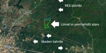 Şimdi de rüzgâr enerji santralları ve madenler tehdit ediyor: Kuzey Ormanları talanı Tekirdağ’a uzandı