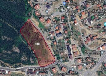 Aydos Ormanı sınırları yoğun inşaat tahribi altında