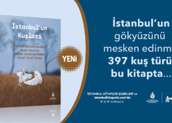 İstanbul’un Kuşları