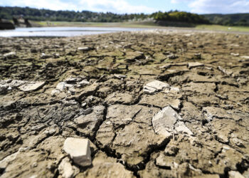 Tarım ve Orman Bakanı İbrahim Yumaklı: “Yağışlardaki en fazla azalma %25 ile Marmara Bölgesi’nde”
