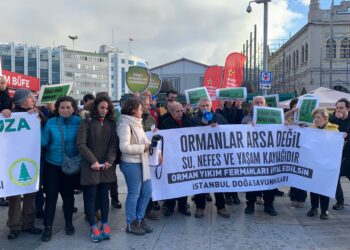 İstanbul Doğa Savunmaları: “Yönetenlerin görevi ülke ormanlarını yağma ve talana açmak değil korumak ve gelecek kuşaklara aktarmak olmalıdır”