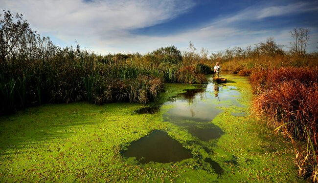 Danıştay sulak alanlarda sanayi tahribine kapıyı kapattı