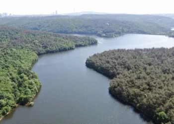 Mahkeme Kuzey Ormanları’nın Beykoz mevkilerinde 1.800 hektar alanı inşaata açan imar planlarını iptal etti