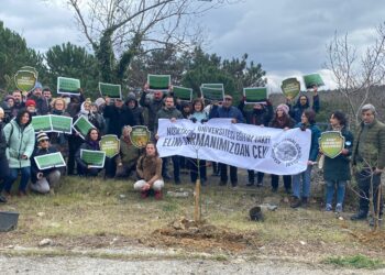 AKO Gönüllüleri: “Ormanımızı tehdit etmekten vazgeçin”
