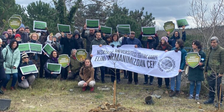 AKO Gönüllüleri: “Ormanımızı tehdit etmekten vazgeçin”