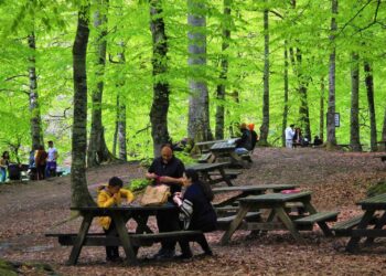 Bolu Yedigöller araştırması: Kuzey Ormanları’nı rant odaklı “doğa turizmi” de tahrip ediyor