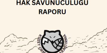 Kuzey Ormanları Köyleri Hak Savunuculuğu Raporu yayınlandı