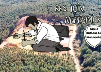 Sermayenin RES saldırısı Kuzey Ormanları’na yayılıyor