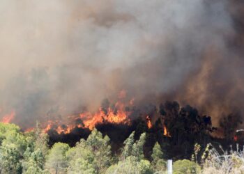 Kuzey Ormanları’nda kış ortasında yangın çıktı