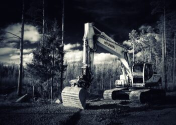 Arasında Kuzey Ormanları’nın da olduğu 13 ilde 6 milyon metrekareden fazla arazi orman dışına çıkarıldı