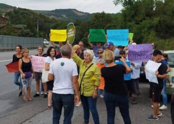 Kuzey Ormanları’nı tahrip eden kaçak beton santrali Tatlısu Deresi’ni de kirletti