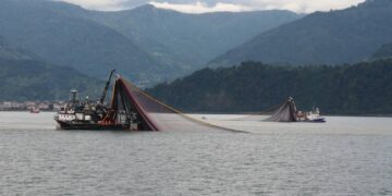 Karadeniz’i endüstriyel avcılık, kirlilik ve iklim krizi kuruttu:160 tür balıktan 4-5 tür kaldı.
